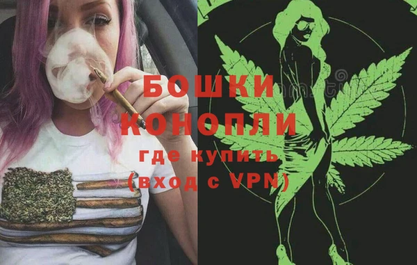 СК Дмитровск
