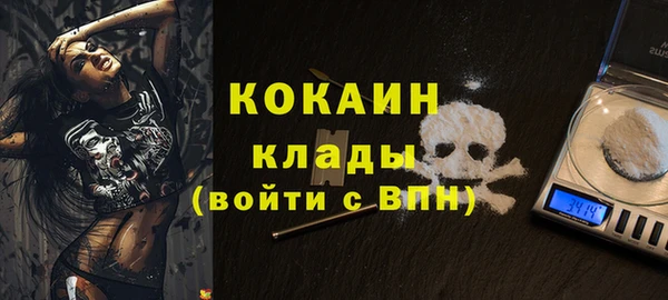 ПСИЛОЦИБИНОВЫЕ ГРИБЫ Ельня